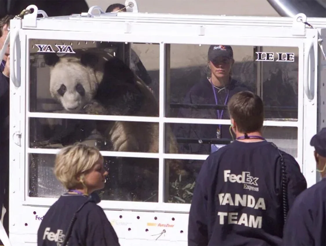 2003年4月，大熊猫“丫丫”、“乐乐”抵达美国。