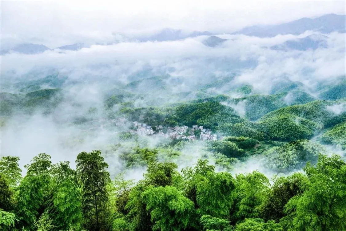 夏季漫步咸宁竹林，度过身心舒畅时光-咸宁竹子博物馆诗词
