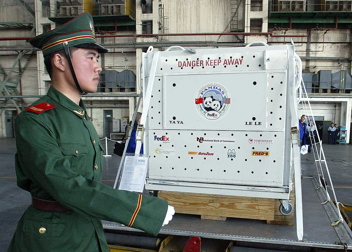 2003年4月7日，北京，武警守卫着正准备登上联邦快递熊猫快运的大熊猫。
