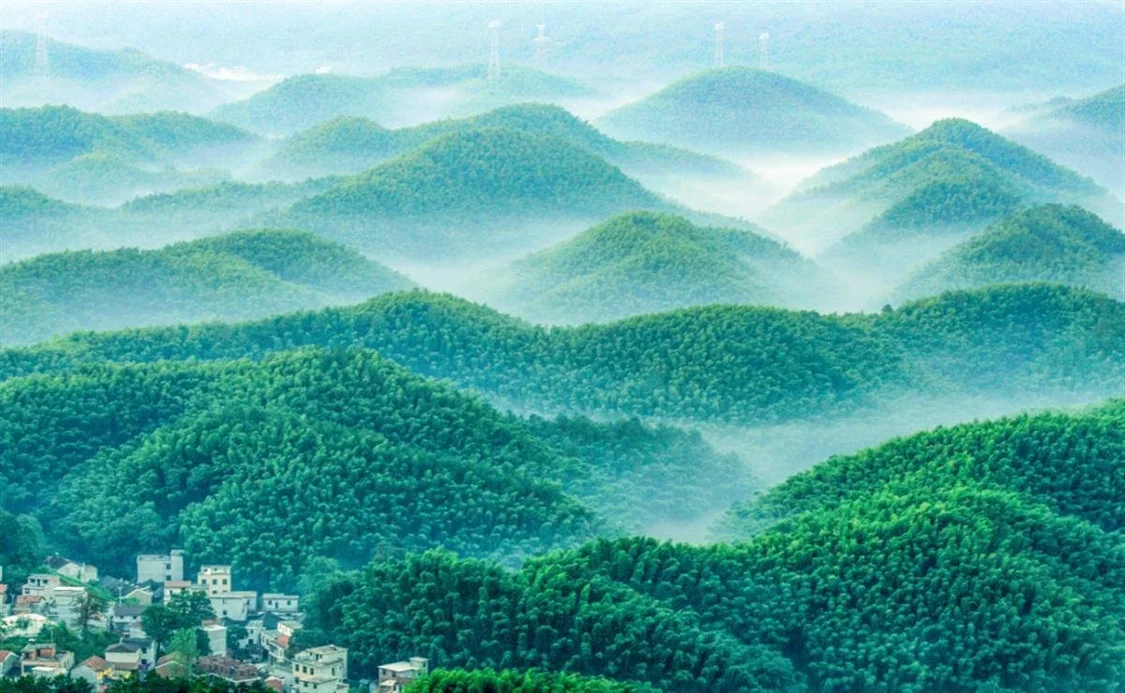 夏季漫步咸宁竹林，度过身心舒畅时光-咸宁竹子博物馆诗词