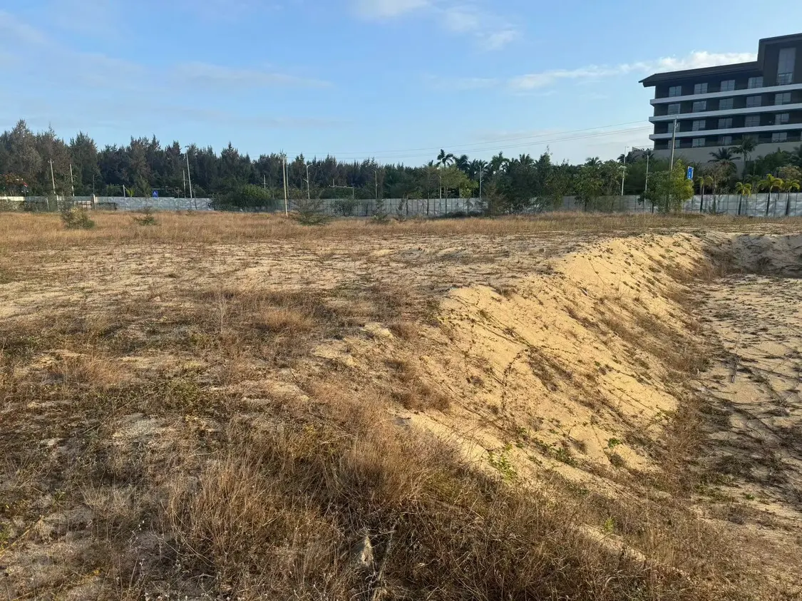 （2024年2月拍摄，三亚海棠湾庄大路）