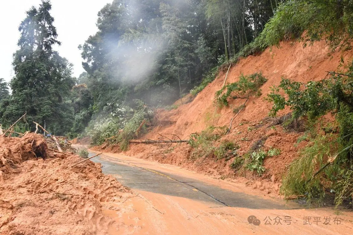 ▲被阻隔的道路 图片来源：武平发布