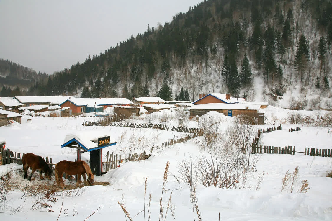 黑龍江牡丹江，雙峰林場，中國雪鄉景區。視覺中國 圖