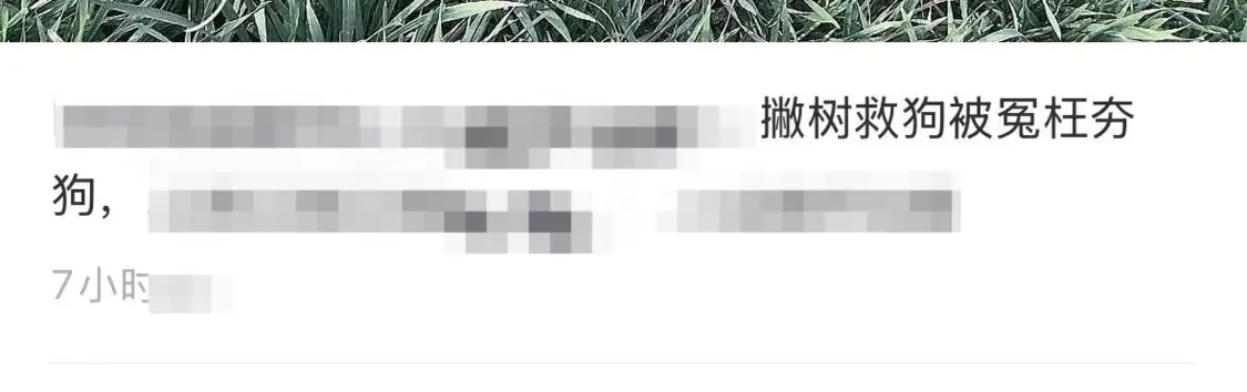 ▲疑似带辱骂信息的内容