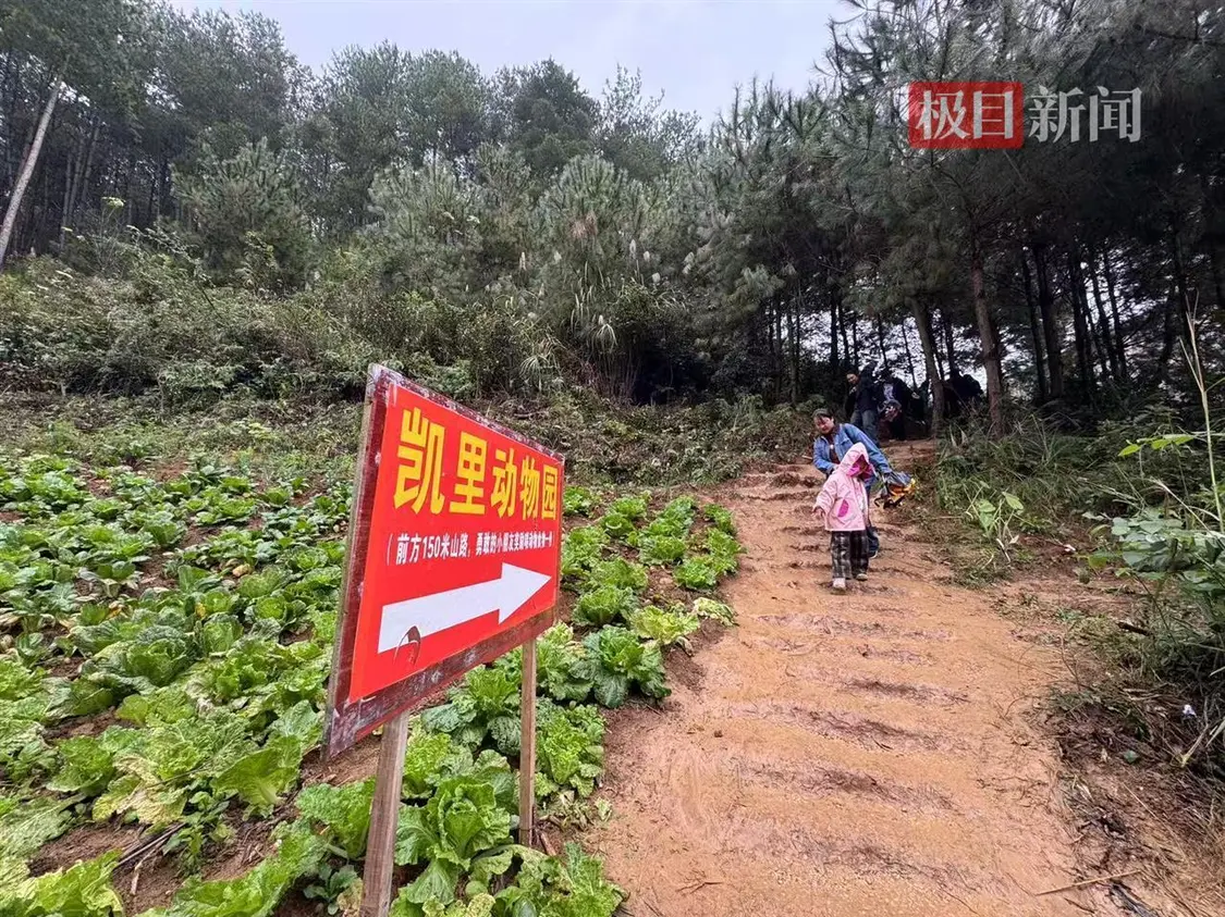 前往凯里动物园需要走山路