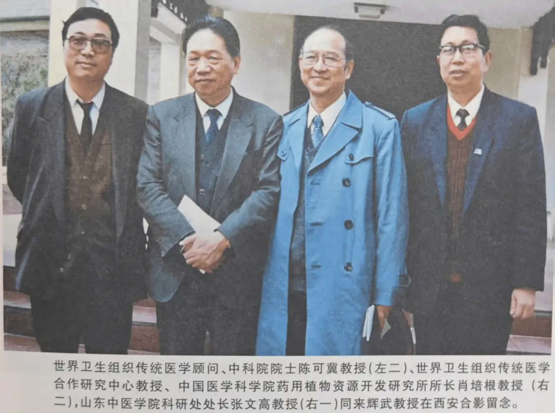 酸楚苦辣，为何没有甜