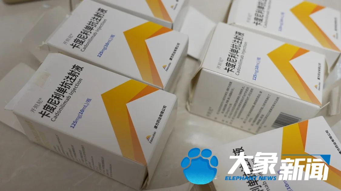 正规“卡度尼利单抗注射液”