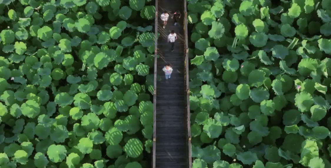 /Users/a15/Library/Containers/com.kingsoft.wpsoffice.mac/Data/tmp/picturecompress_20250801053951/output_1.pngoutput_1