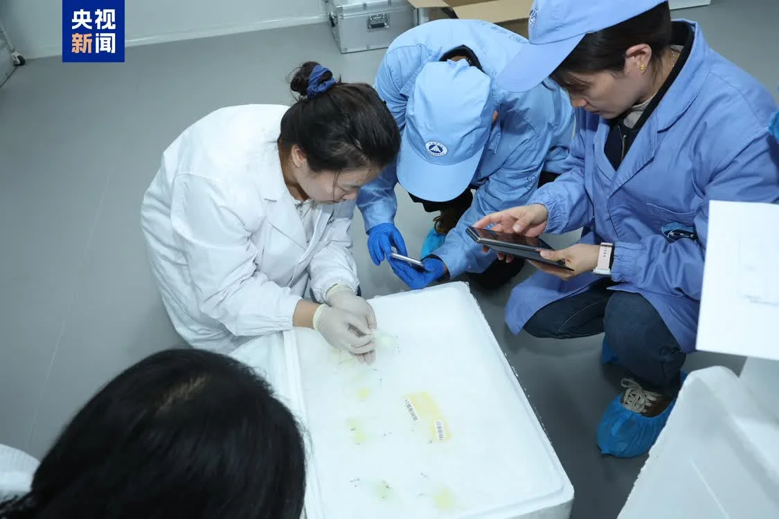 中国空间站第九批实验样品返回并交付科学家