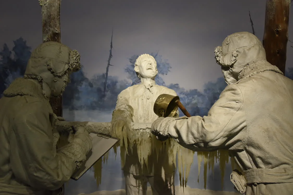 ֻվһ֤йչֵĶʵ鳡» ˼ 