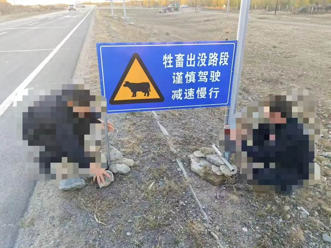 3111756617024_.pic.jpg