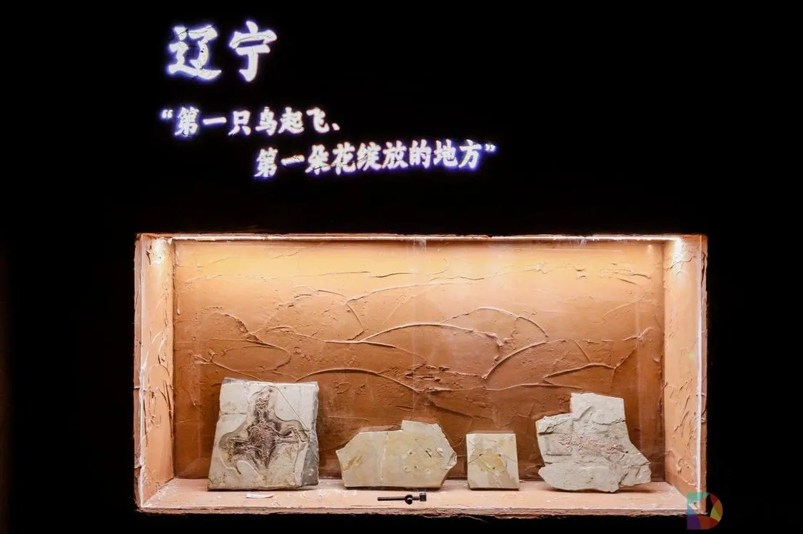 辽宁文旅