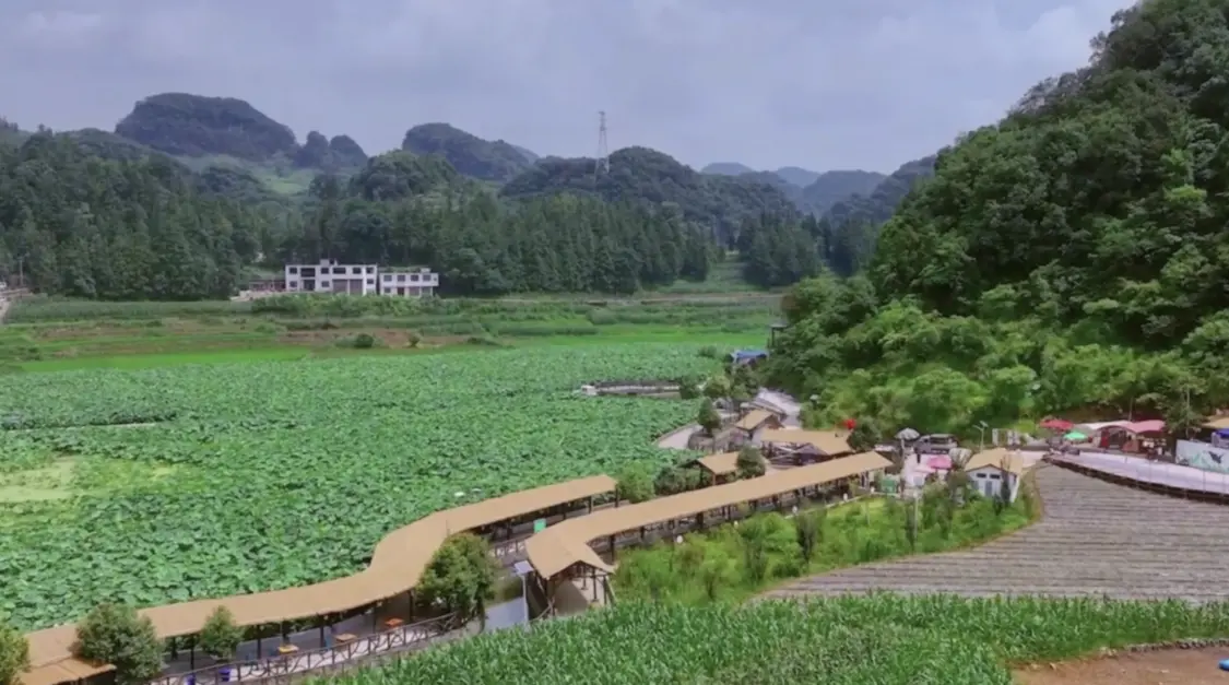 /Users/a15/Library/Containers/com.kingsoft.wpsoffice.mac/Data/tmp/picturecompress_20250801054420/output_1.pngoutput_1