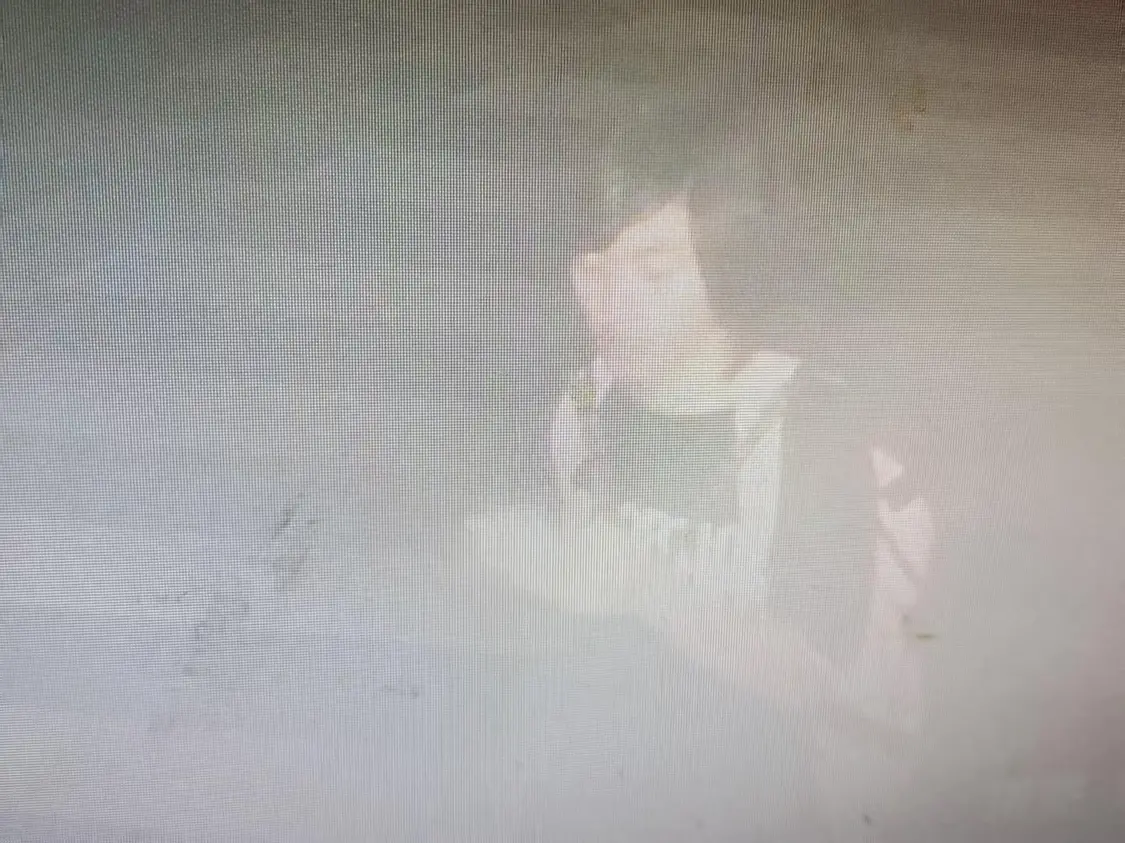 ▲胡一啸失联前的监控画面 家人供图