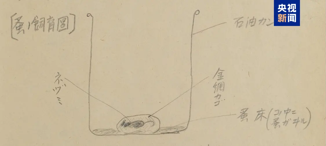 △加藤恒则笔供中的跳蚤饲养装置示意图