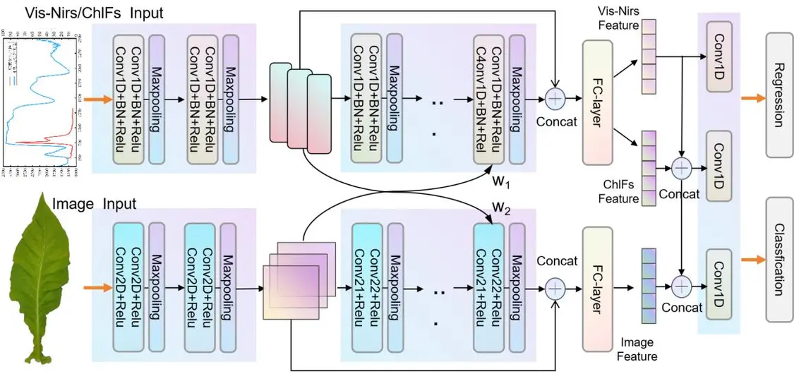 破解烘烤工艺适配难题，烟叶利用率跃升新解I中国农业科学院烟草研究所×莱森光学联合发布烟叶素质光谱分析仪_https://www.izongheng.net_快讯_第13张