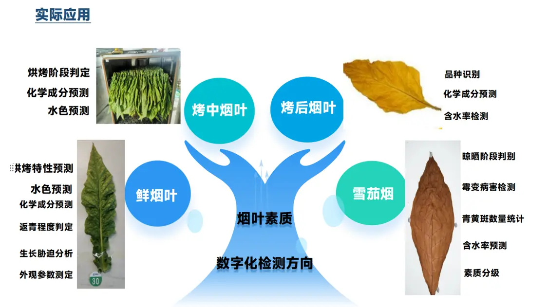 破解烘烤工艺适配难题，烟叶利用率跃升新解I中国农业科学院烟草研究所×莱森光学联合发布烟叶素质光谱分析仪_https://www.izongheng.net_快讯_第5张