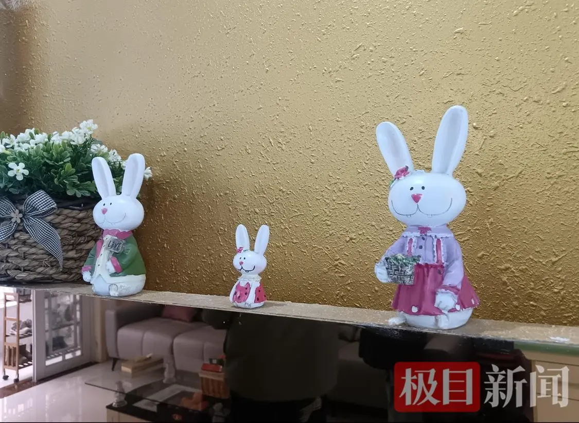 月月生前买的玩偶 （极目新闻记者肖名远摄）