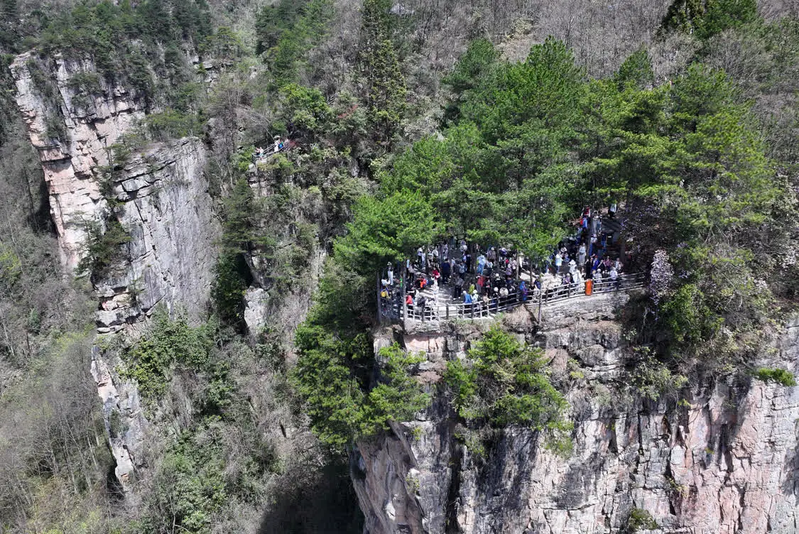 2026年4月4日,游客在张家界国家森林公园天子山景区游玩(无人机照片)。新华社发(吴勇兵摄)