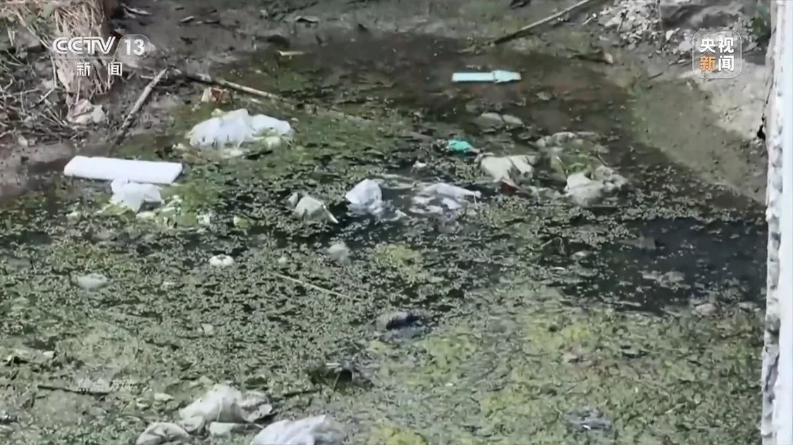 央视曝光徐州农田边黑水直流：执法人员一走，臭水照排不误_https://www.izongheng.net_快讯_第2张