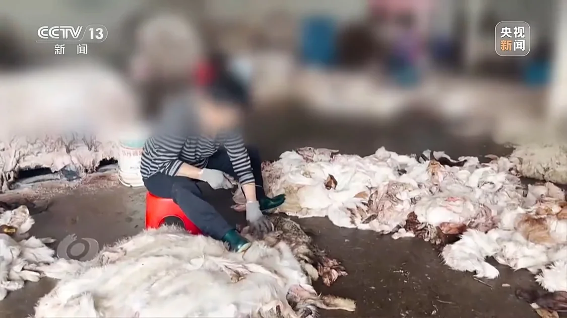央视曝光徐州农田边黑水直流：执法人员一走，臭水照排不误_https://www.izongheng.net_快讯_第6张