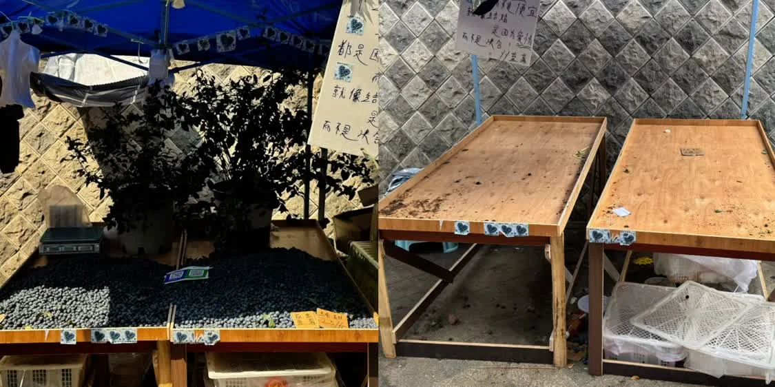 �����ͼ��