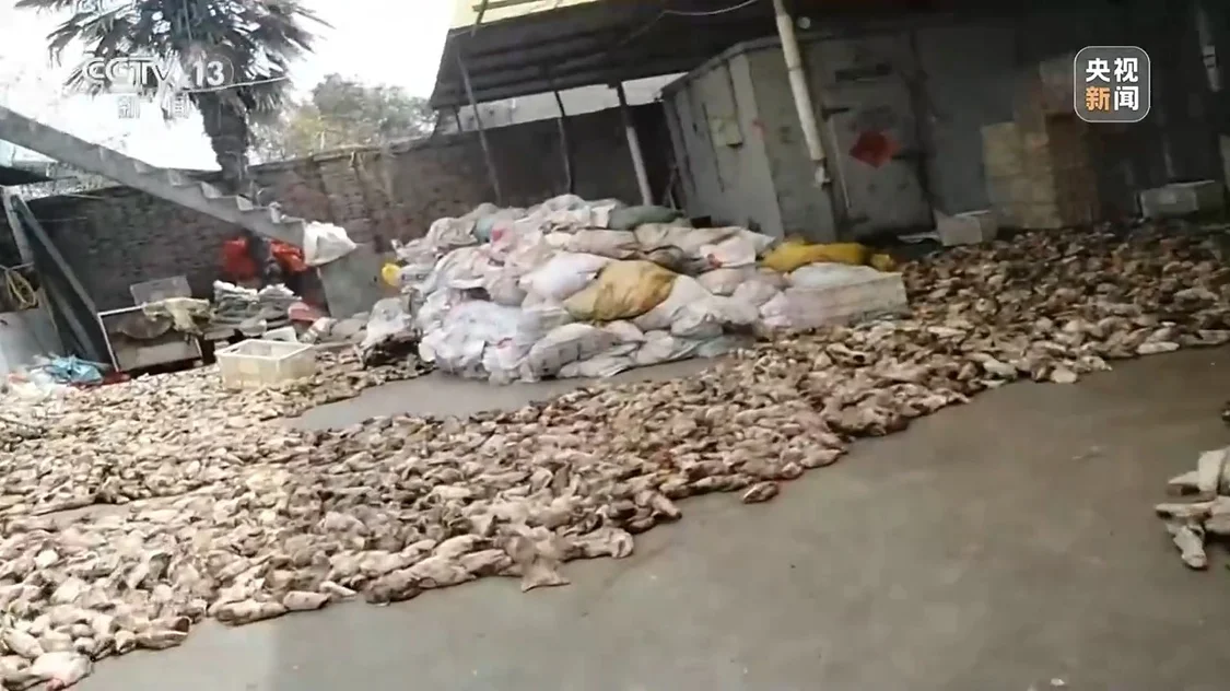 央视曝光徐州农田边黑水直流：执法人员一走，臭水照排不误_https://www.izongheng.net_快讯_第7张