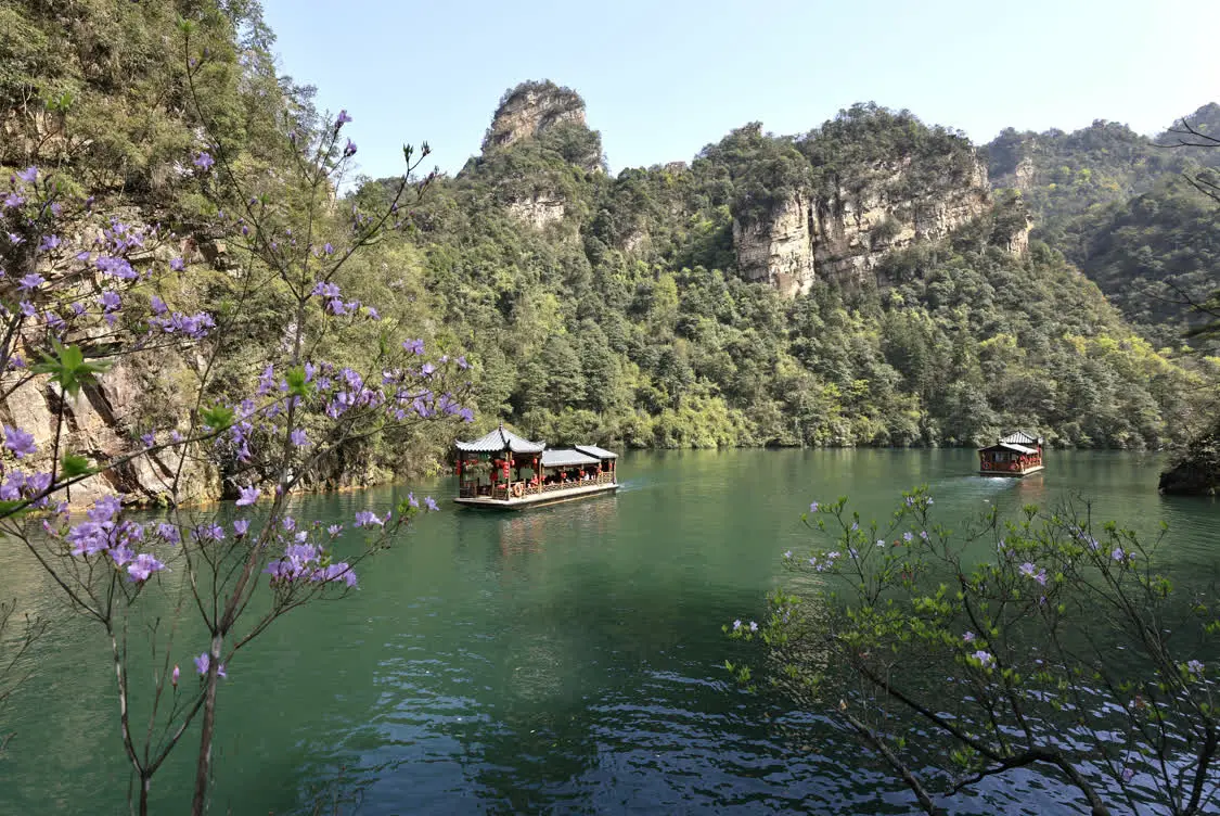 2026年4月4日,游客乘船在张家界宝峰湖景区游玩。新华社发(吴勇兵摄)