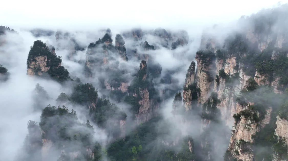 2026年4月3日在张家界国家森林公园拍摄的云海。新华社发(张洪涛 摄)