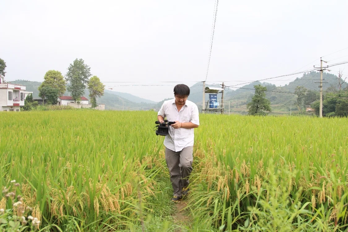蒋能杰穿过稻田，记录乡村。