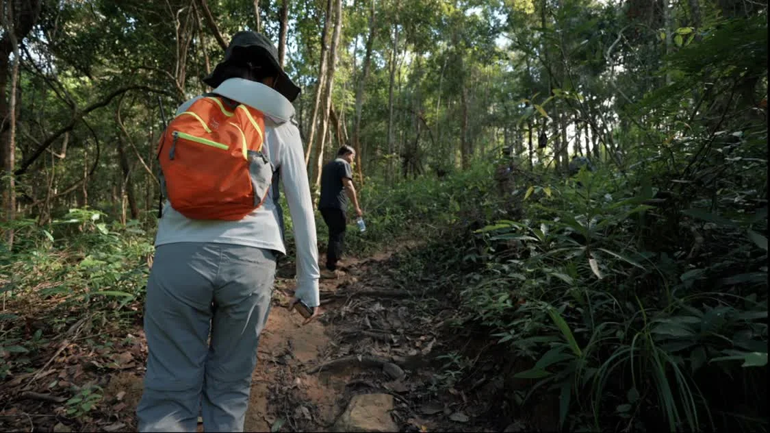 图注：公益真探李彦琪跟随“大象食堂”项目人员探访雨林