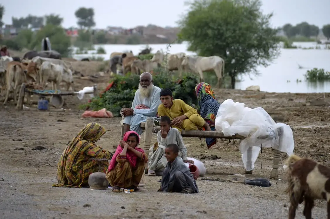 在巴基斯坦俾路支省纳西拉巴德，逃离洪水的人们在路边休息。新华社/美联