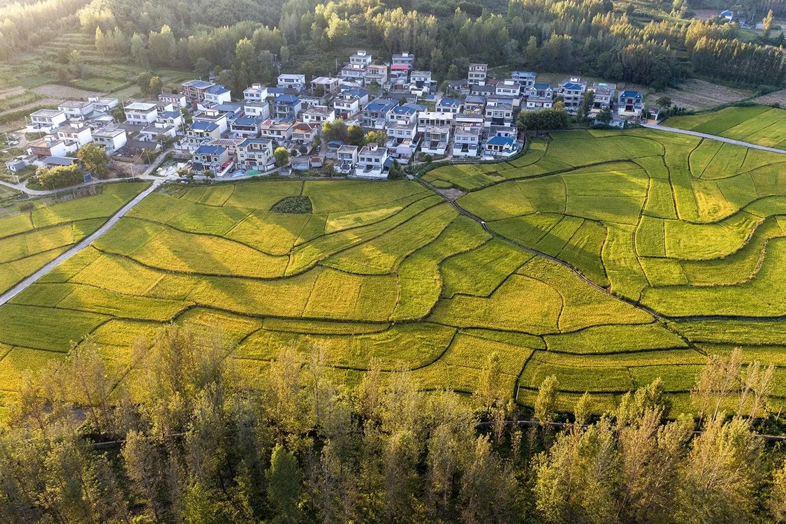 《山河锦绣》完美收官，鲁山小尔城的金黄稻田成为网红打卡地