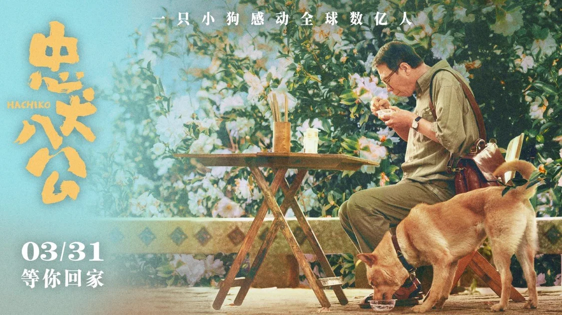 电影《忠犬八公》全新预告海报 “八筒相伴”延续春日感动