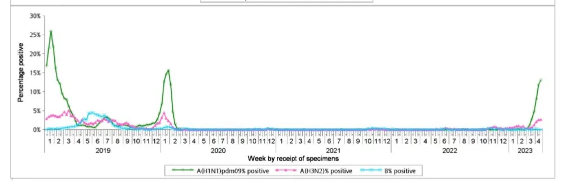 ▎图7. 香港呼吸道样本流感病毒阳性率的监测情况。绿色为2009大流行H1N1株，粉红色为H3N2，蓝色为乙型流感。资料来自香港卫生防护中心。