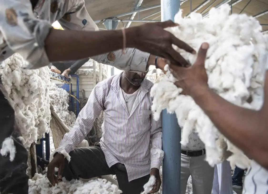 印度工人在棉花厂工作｜图片来自《纽约时报》｜摄影 Saumya Khandelwal