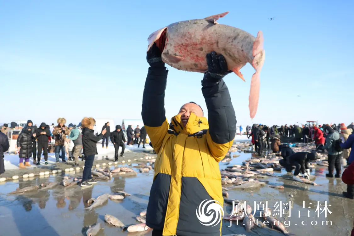 查干湖胖头鱼是游客的最爱。凤凰网吉林 王振东/摄