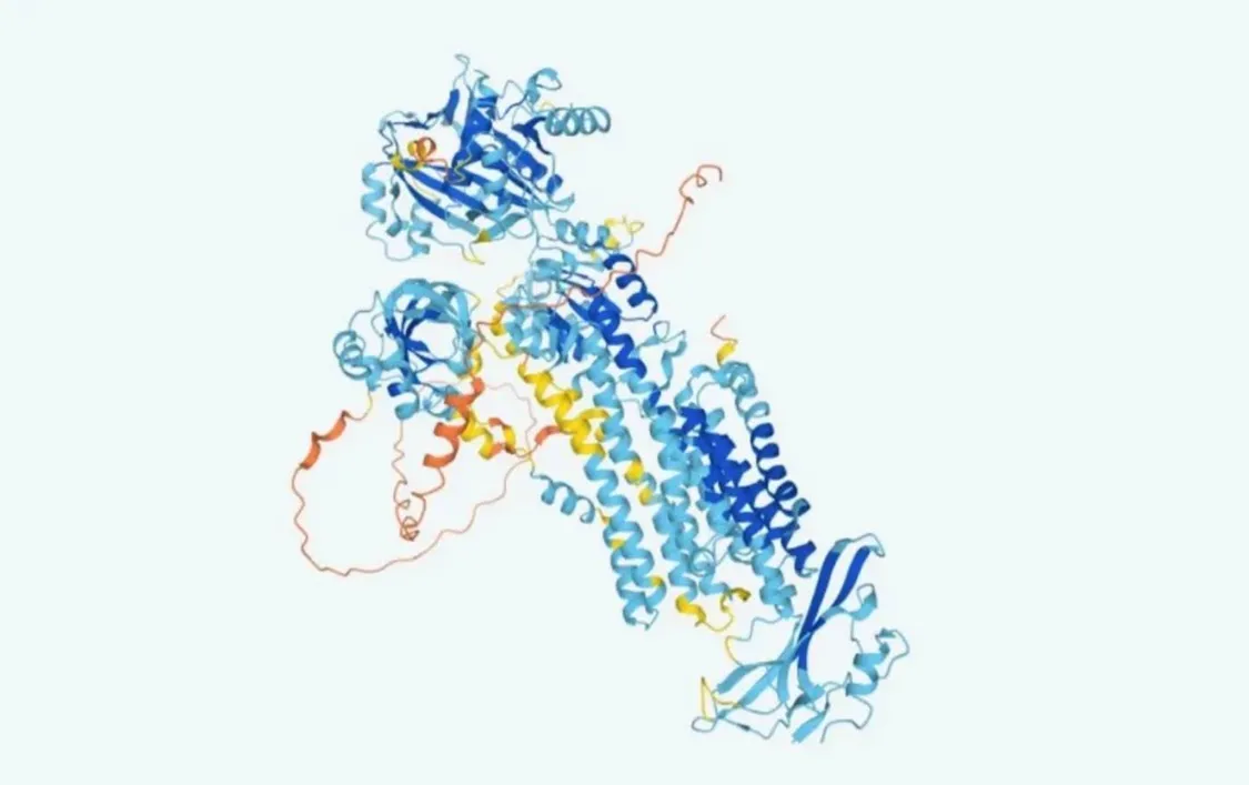 AlphaFold模拟的人类蛋白质结构示意图，图片来源：DeepMind官网