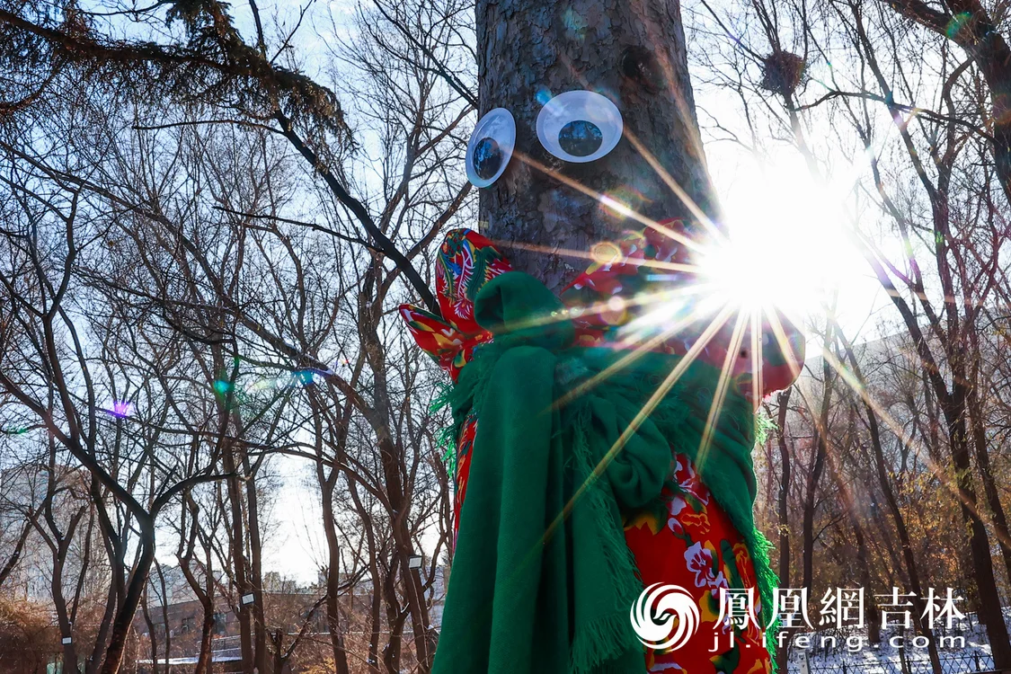 图集|最治愈的“穿搭”！长春给树穿上“高定”毛衣