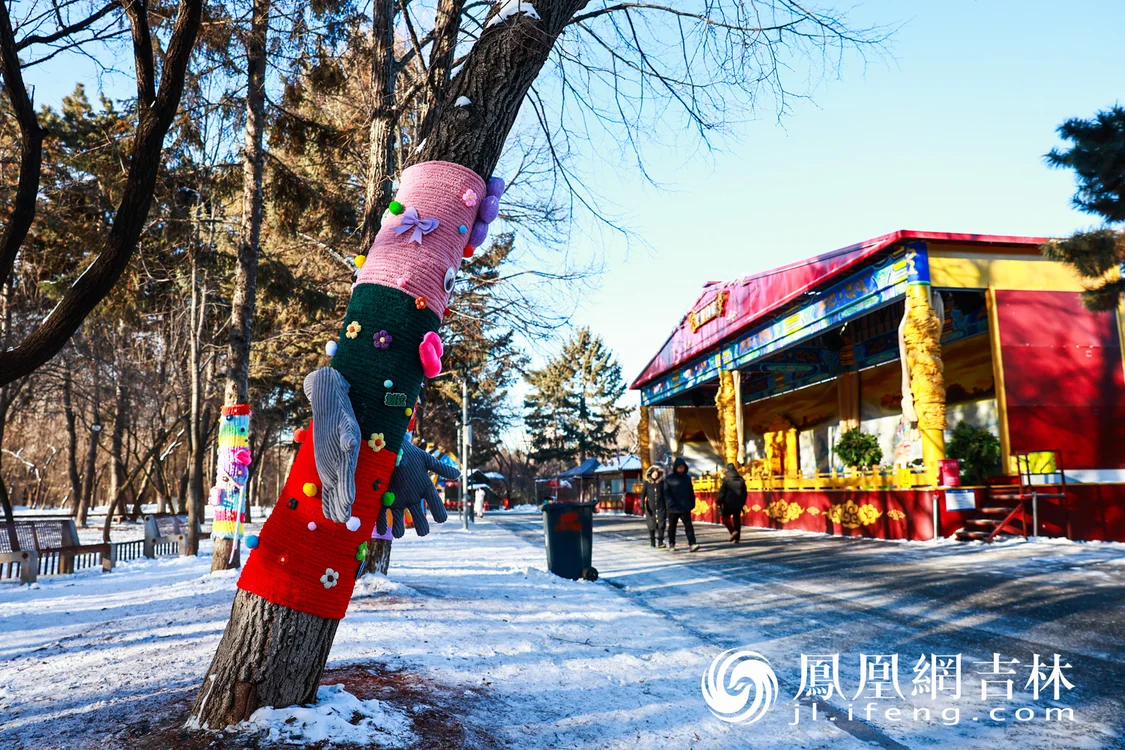 图集|最治愈的“穿搭”！长春给树穿上“高定”毛衣