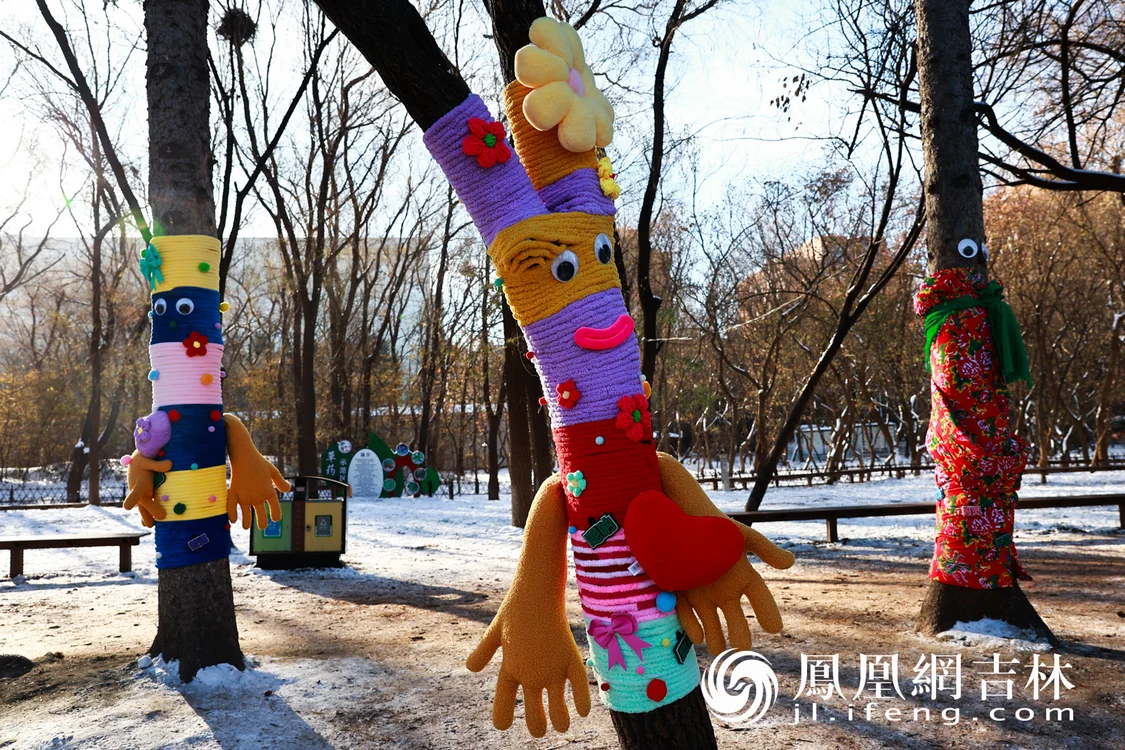 图集|最治愈的“穿搭”！长春给树穿上“高定”毛衣