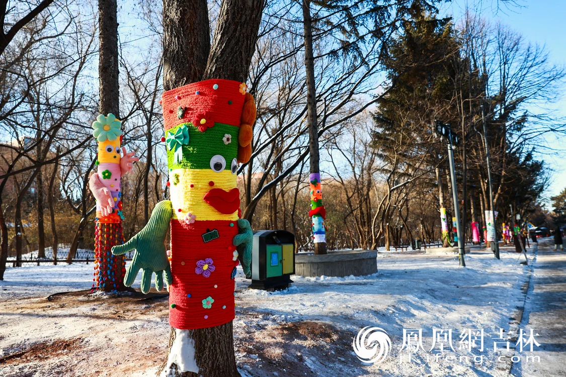 图集|最治愈的“穿搭”！长春给树穿上“高定”毛衣