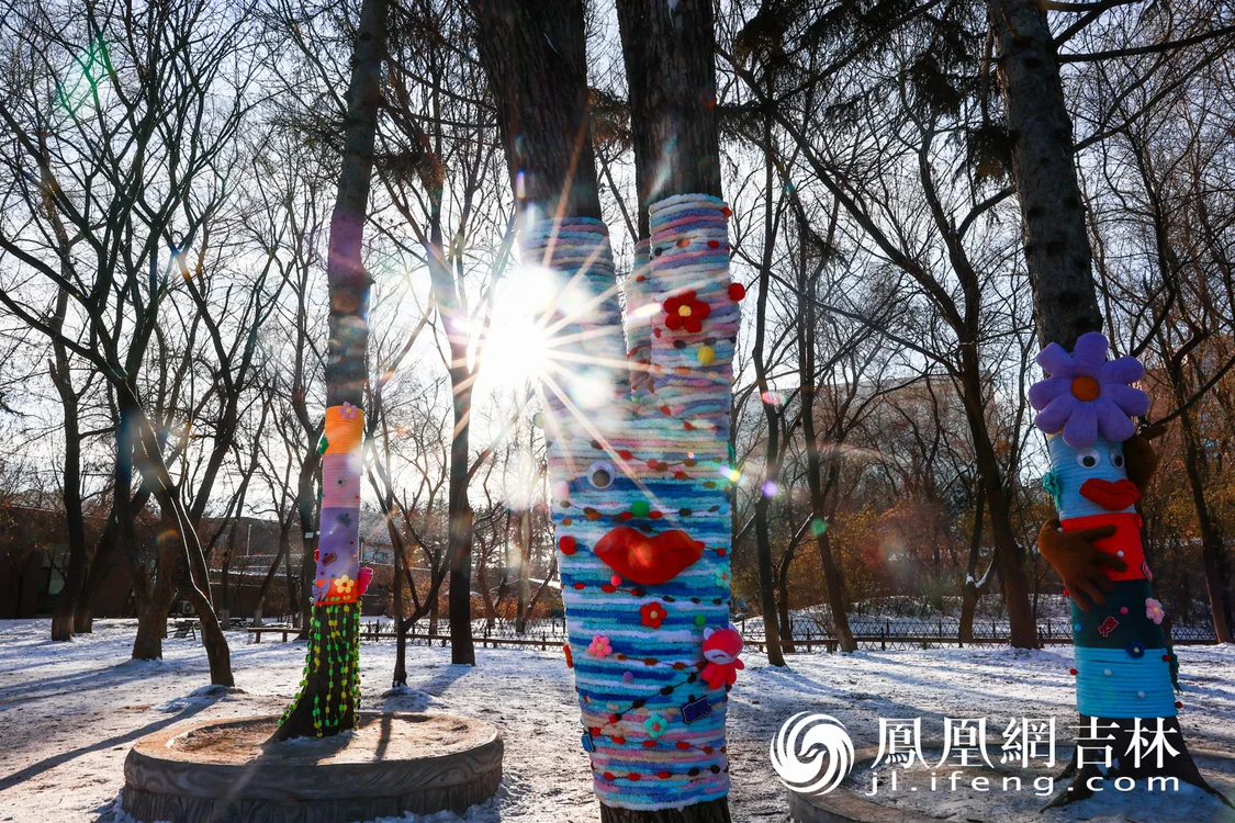 图集|最治愈的“穿搭”！长春给树穿上“高定”毛衣