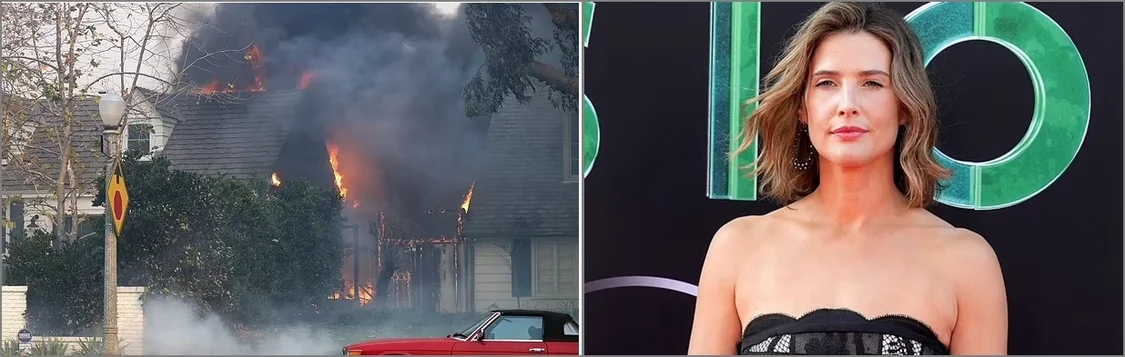 ����ɽ����Ű���̵���Щ�ڻ�����ʧȥ��԰������