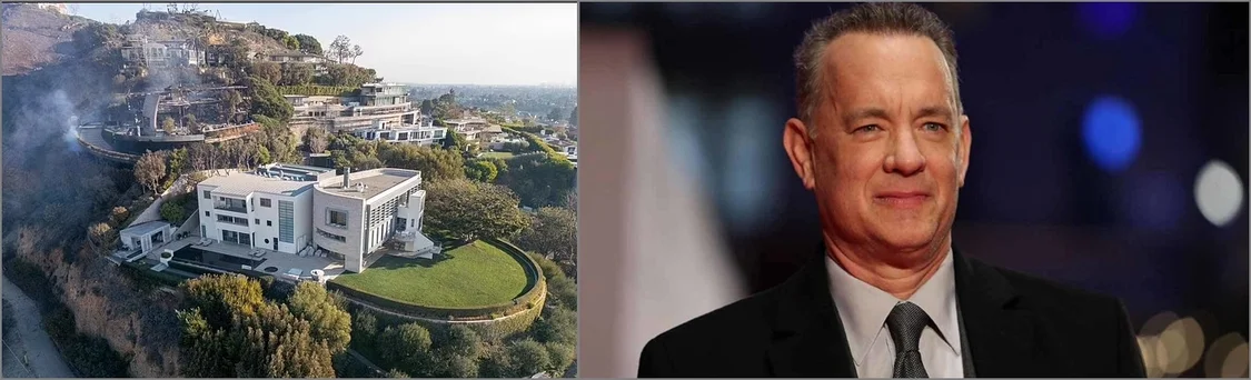 ����ɽ����Ű���̵���Щ�ڻ�����ʧȥ��԰������