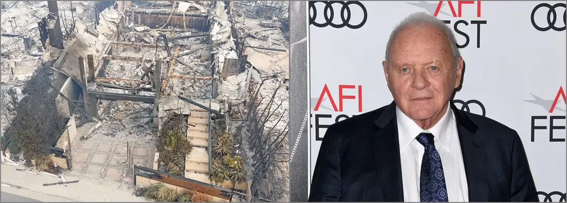 ����ɽ����Ű���̵���Щ�ڻ�����ʧȥ��԰������