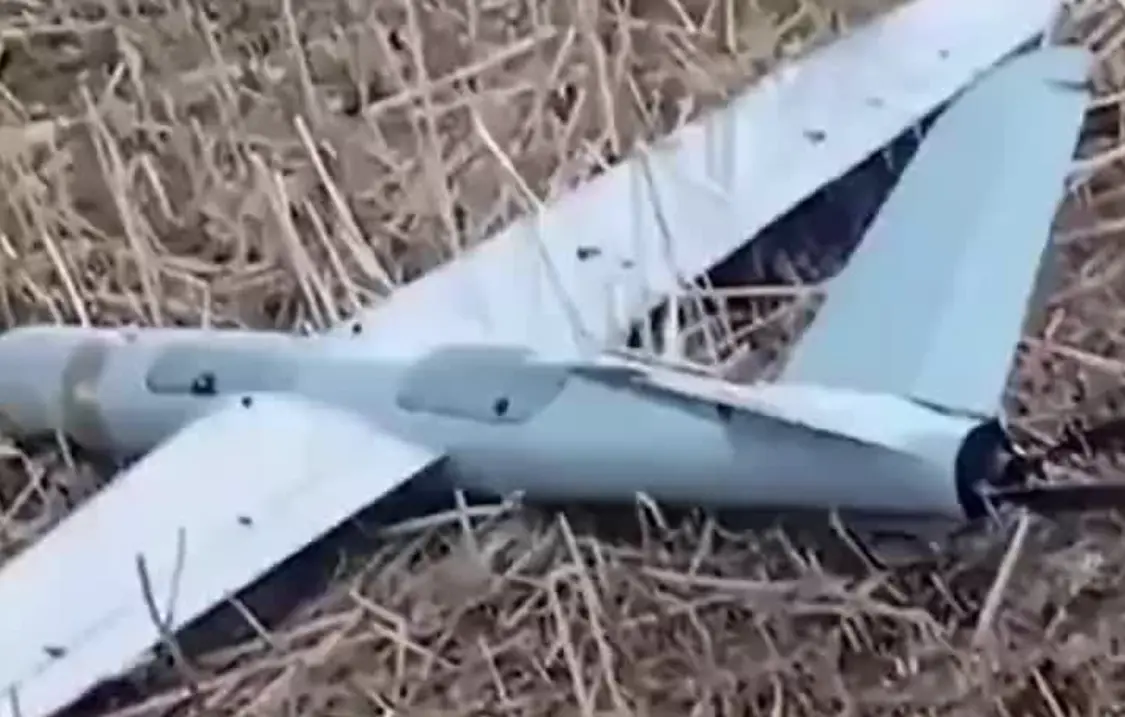 图为遭巴基斯坦军方击落的印度无人机
