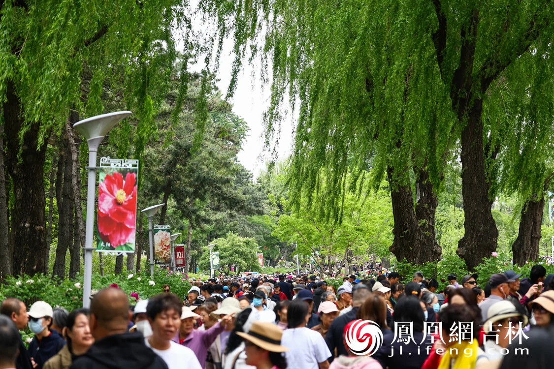 图集丨长春牡丹园小满竞芳华