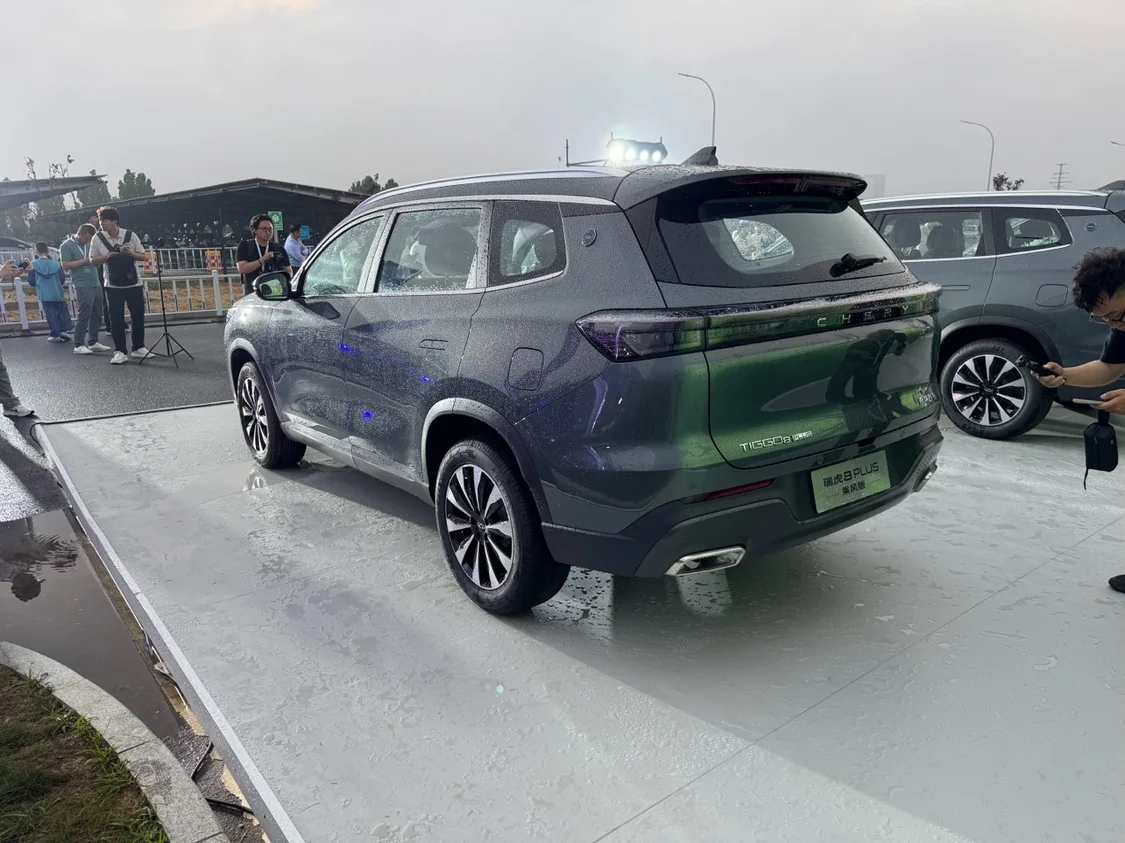 (图10)