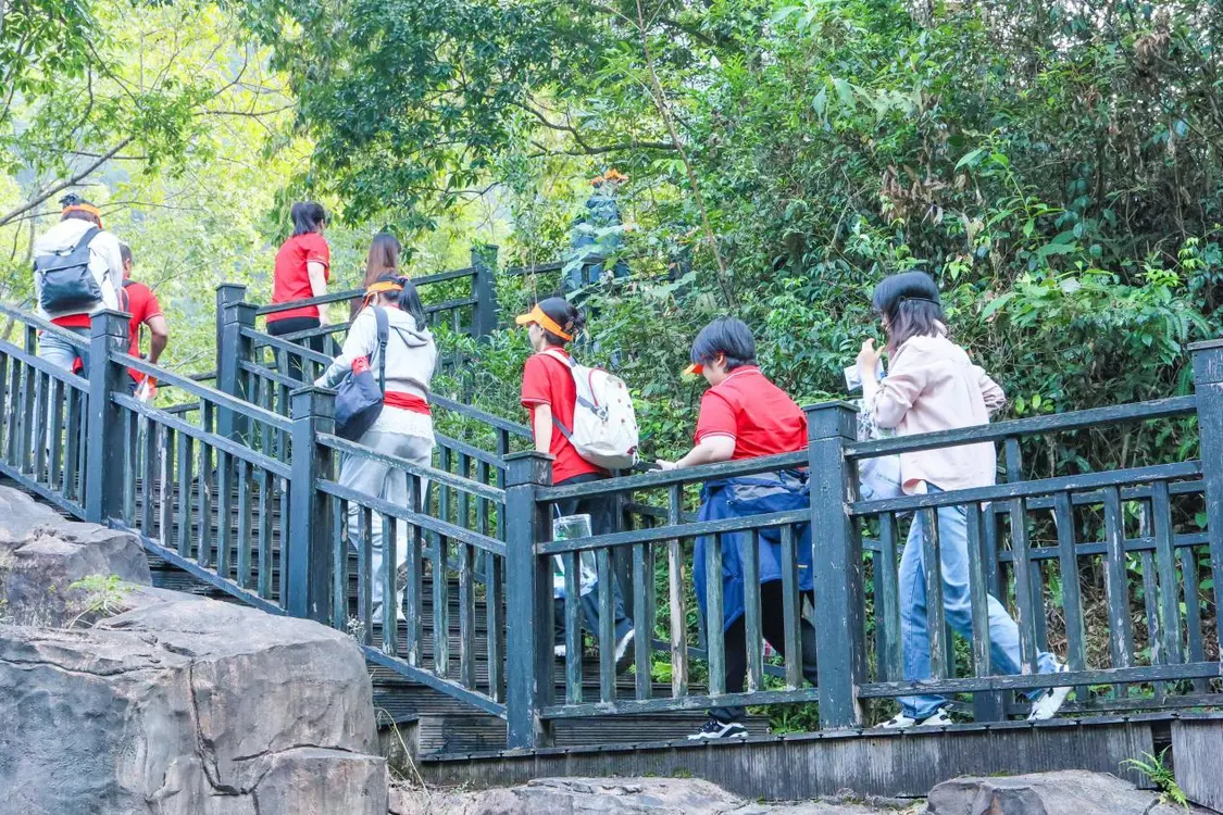 够野你就来——2025中国南酸枣之乡旅游音乐文化节暨齐云山登山节圆满收官